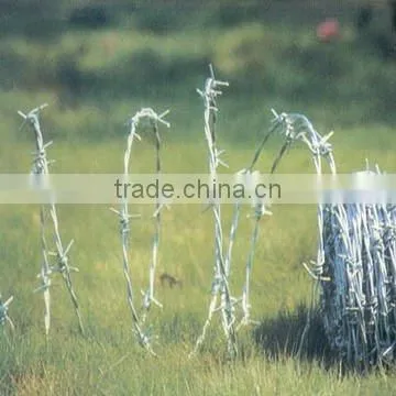 High Quality and Low Price Electro&Hot Dipped Galvanized Barbed Spiral Wire Iowa(Joint Venture Manufacturer)