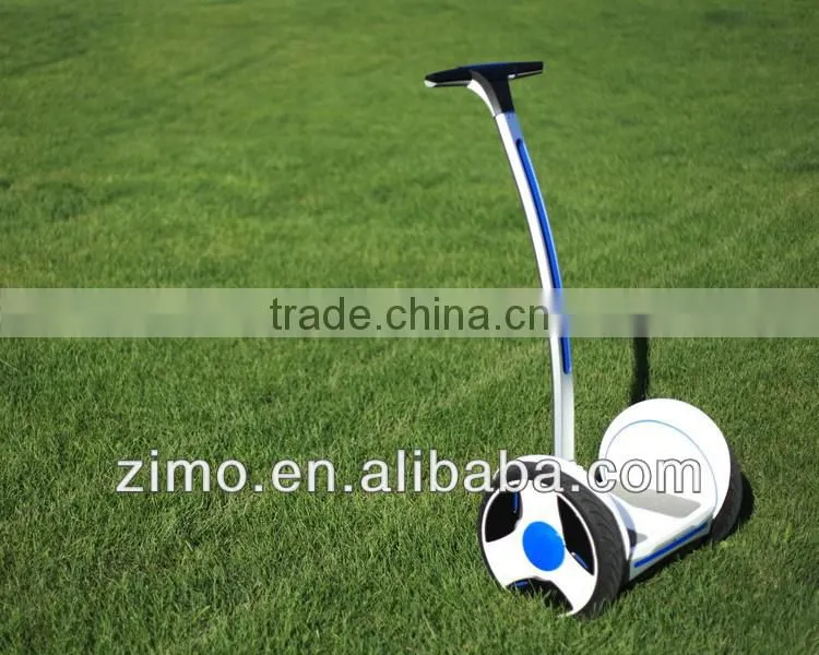 China electric chariot