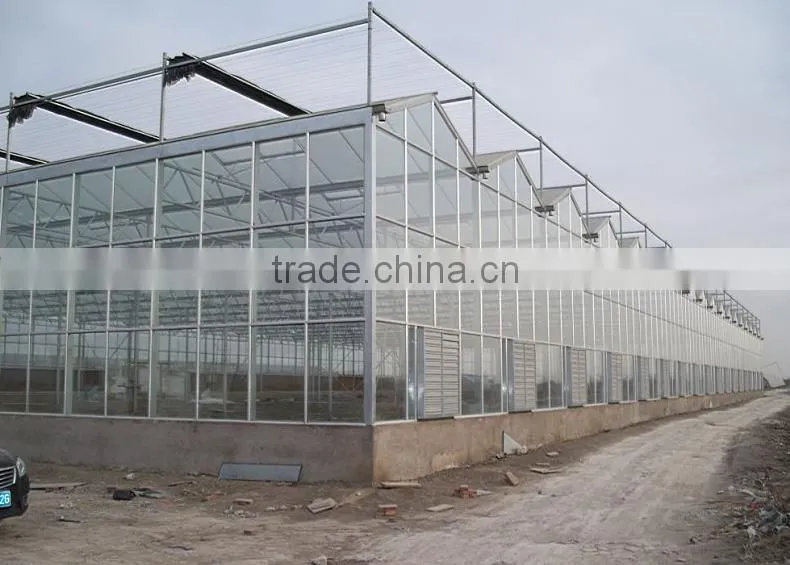 Brand new glass greenhouse for sale