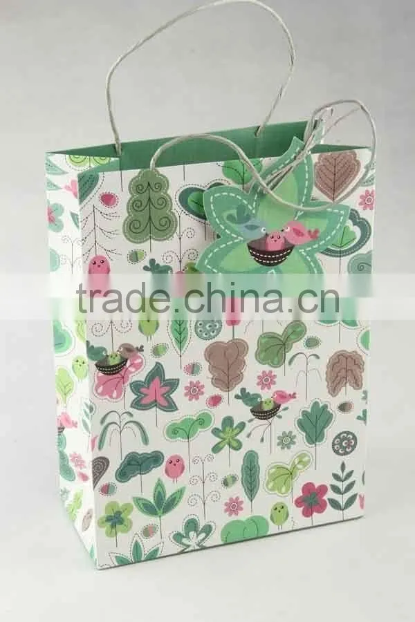 Colorful Shopping Paper Bag With Card /Printed Foldable Gift Bag