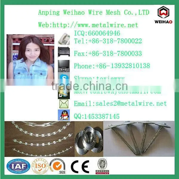 hot sell high qualiy dry wall screw by china screw manufacturer