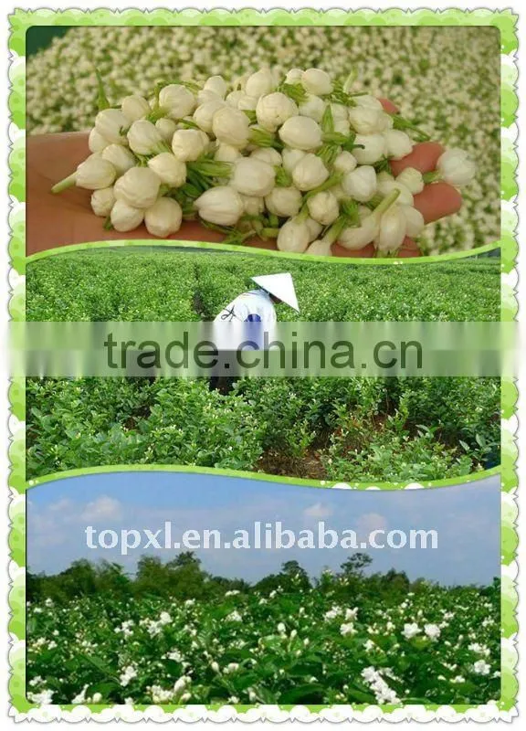 jasmine flower extract-fruit juice flavours