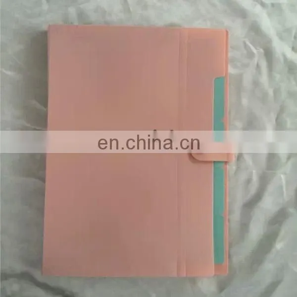 Letter size 12 Pocket PP Expandable file folders