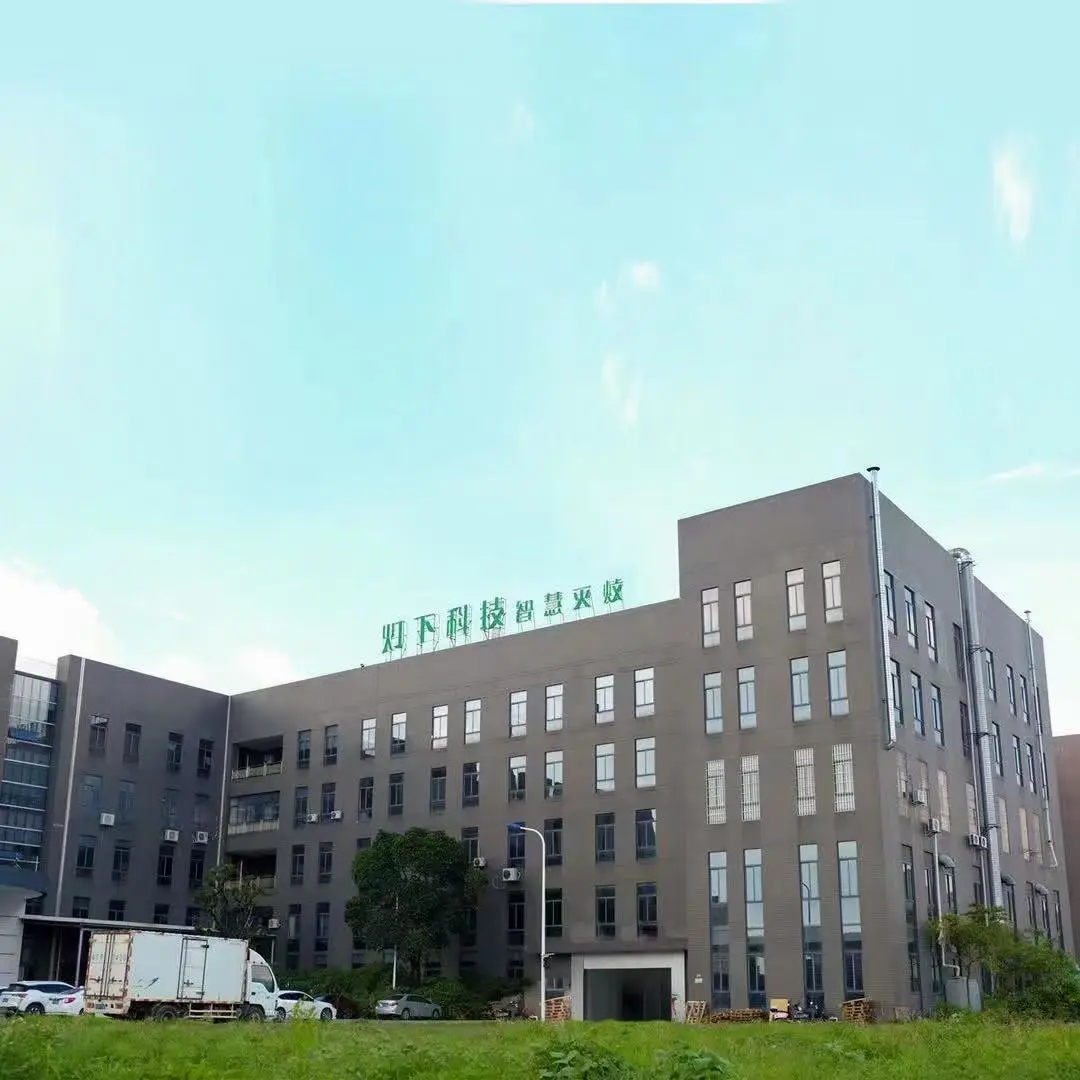 Dengxia Technology (Guangdong) Co., Ltd. company overview - view 1