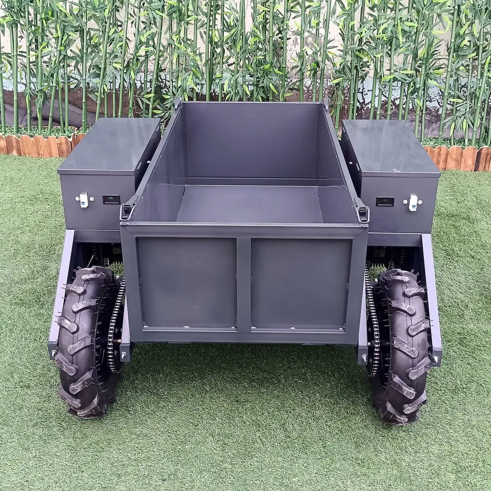 remote-control-all_terrain_transport_c.jpg