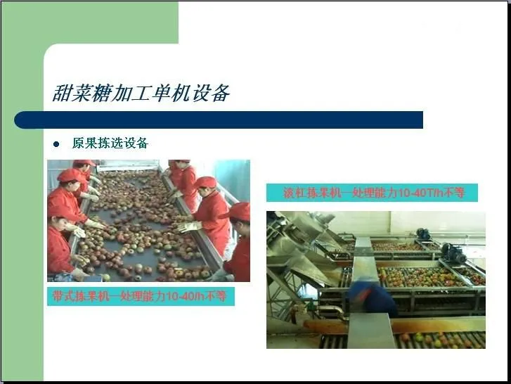 Shanghai Factory China Sugarcane & Sugar Beet Processing Machine Production Line Plant to Make White Crystal Sugar & Brown Sugar