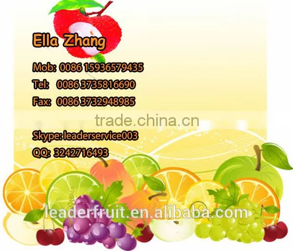 Leader hot sales high quality lychee denucleating machine at a low price
