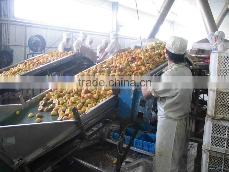 Food Grade Belt Conveyor Used For Food Industry