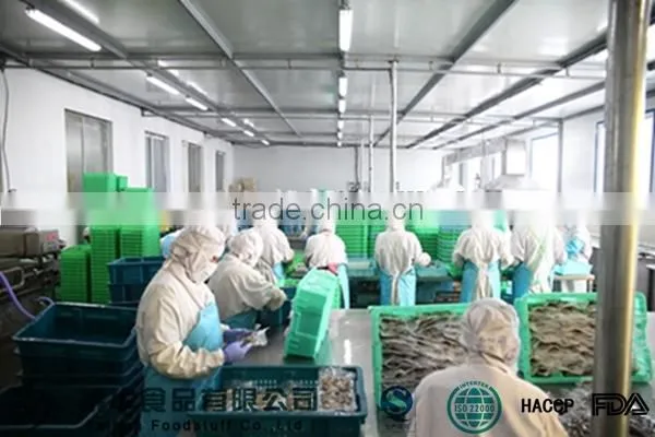 Whole Round Frozen Razor Clam Shellfish with Shell Chinese Supplier