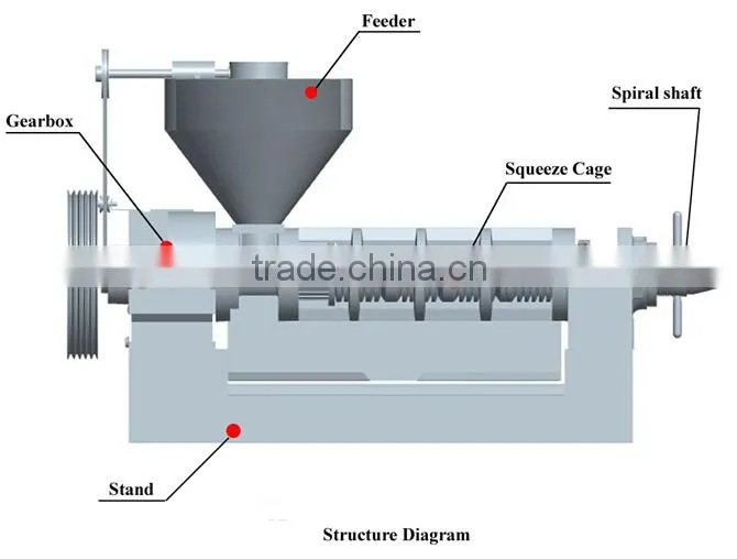 screw oil press /oil expeller hot sale in Thailand