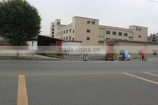 Dongguan Fanssi Toys Co., Ltd. company overview - view 1