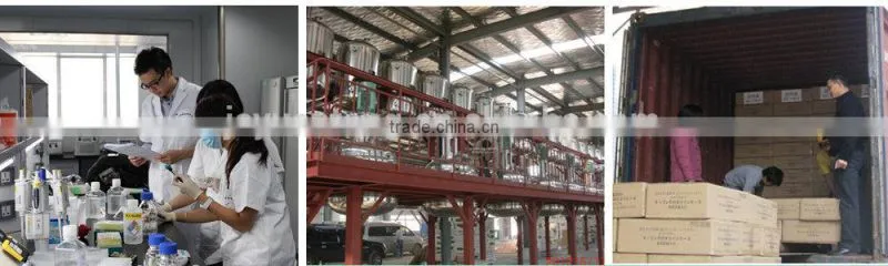 PVC construction adhesive