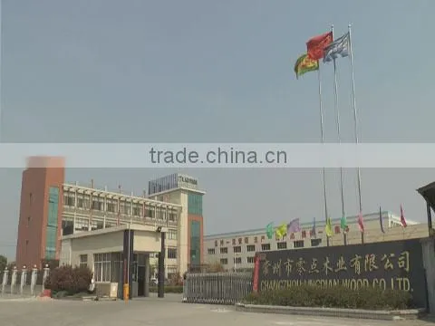 Changzhou Lingdian Wood Co., Ltd. company overview - view 1