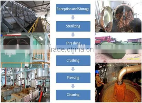 High efficiency cooking oil extractor machine | cooking oil making machine