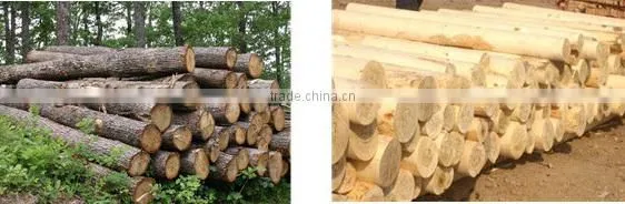 simple structure timber processing machine with short delivery time
