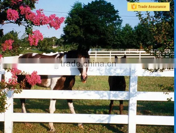 Plastic vinyl horse fence PVC fencing for sale