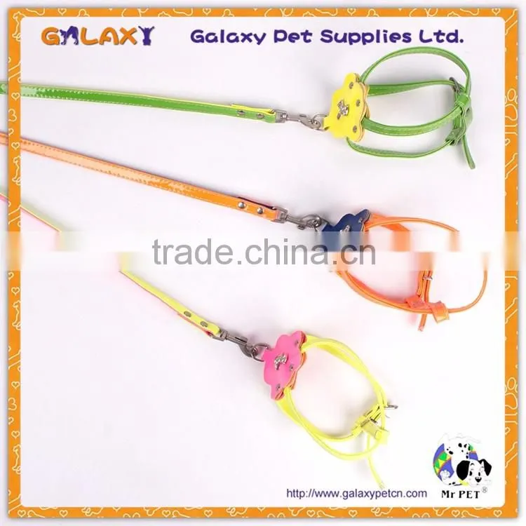 colorful pet collar and leash nylon pet products new design pet collar, sell well dog leash