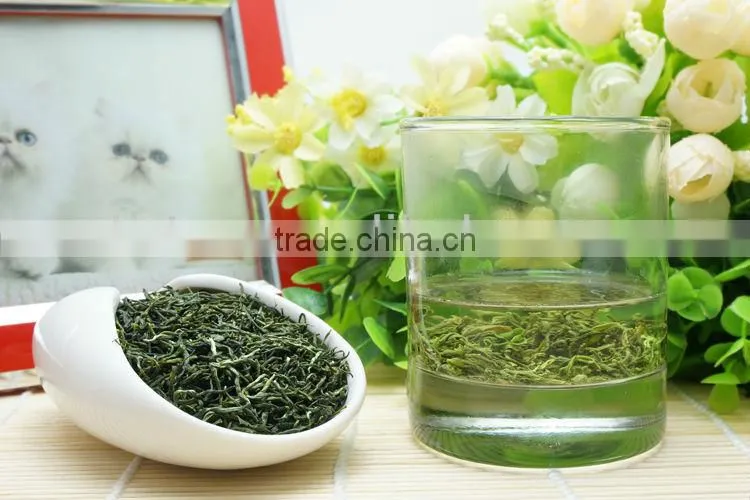 2015 new early spring High Mountain Refined CaiHua Maojian Green Tea