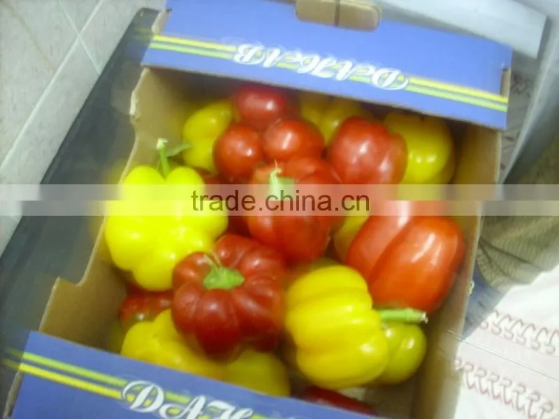 Capsicum