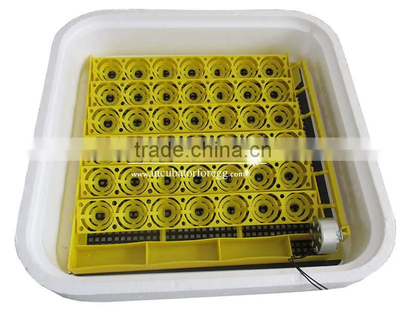 New Design Plastic chicken Egg Tray Colorful Egg Trays for sale