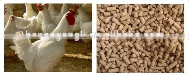 1-2T/H capacity broilers laying hens feed pellet production line, chicken feed production line