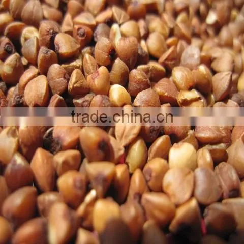 Roasted Buckwheat kernels