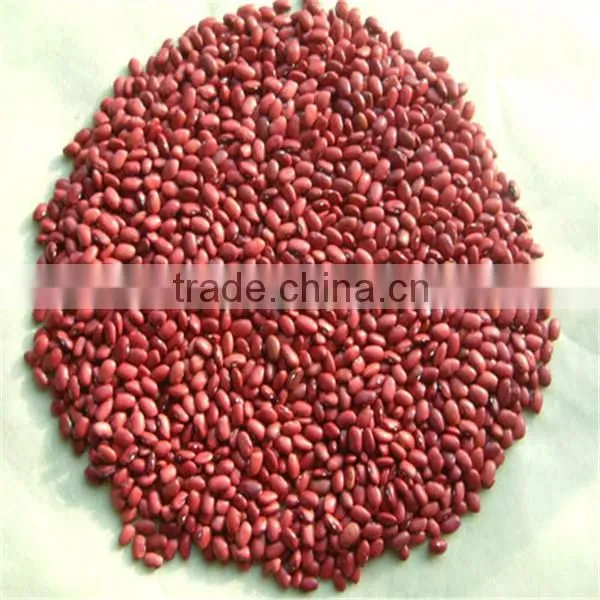 White kidney bean for sale