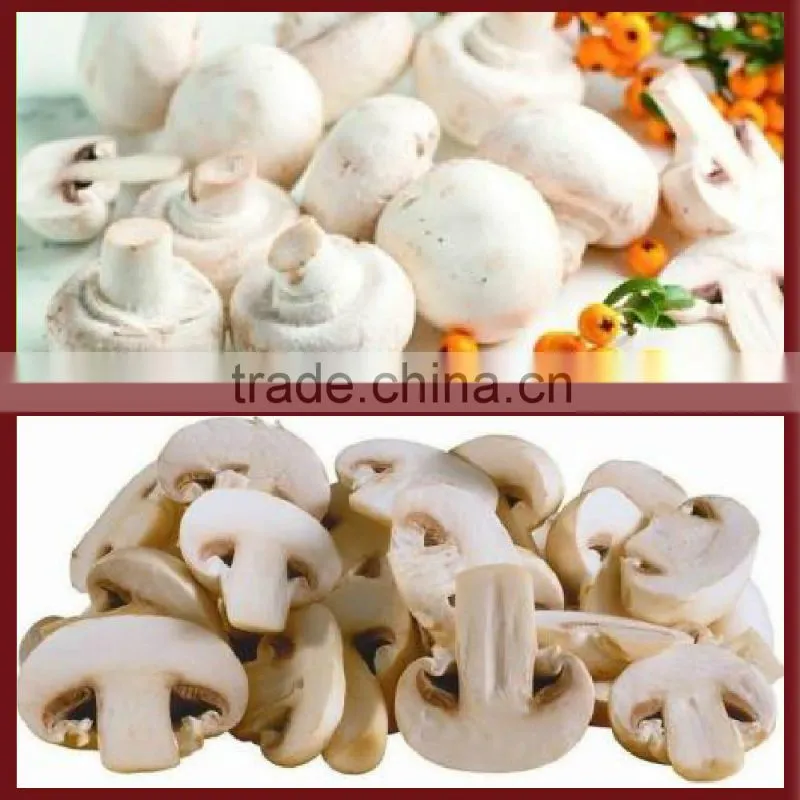 Frozen Agaricus bisporus IQF Agaricus bisporus