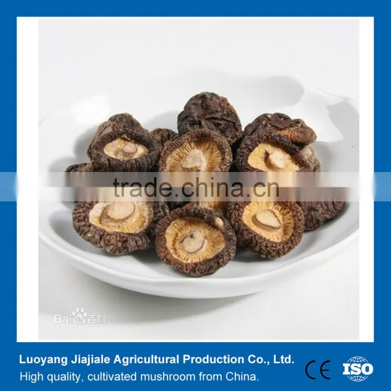 Shiitake mushroom/ Dried Shiitake Mushroom Exporter
