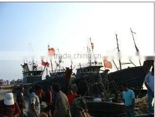Ningbo Yinzhou Dahua Aquatic Products Factory company overview - view 3