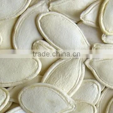 Shine-skin pumpkin seeds for wholesale from China
