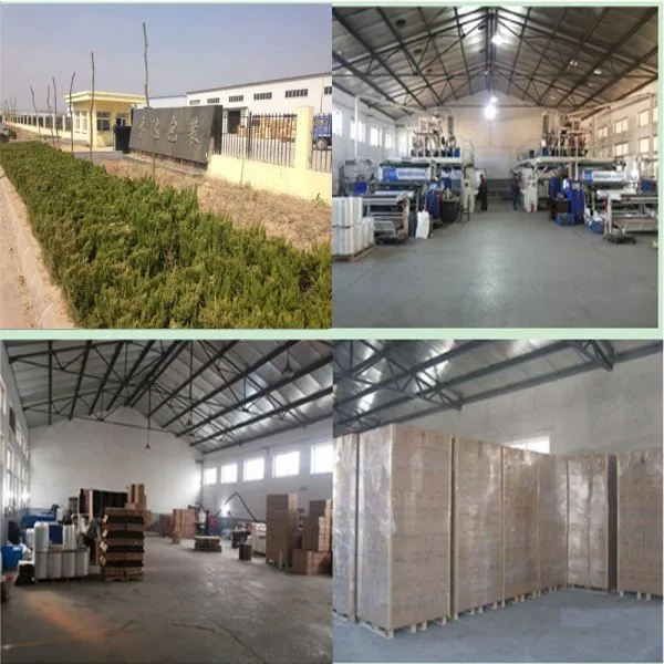 Jinan Luda Stretchfilm Co.,ltd company overview - view 1