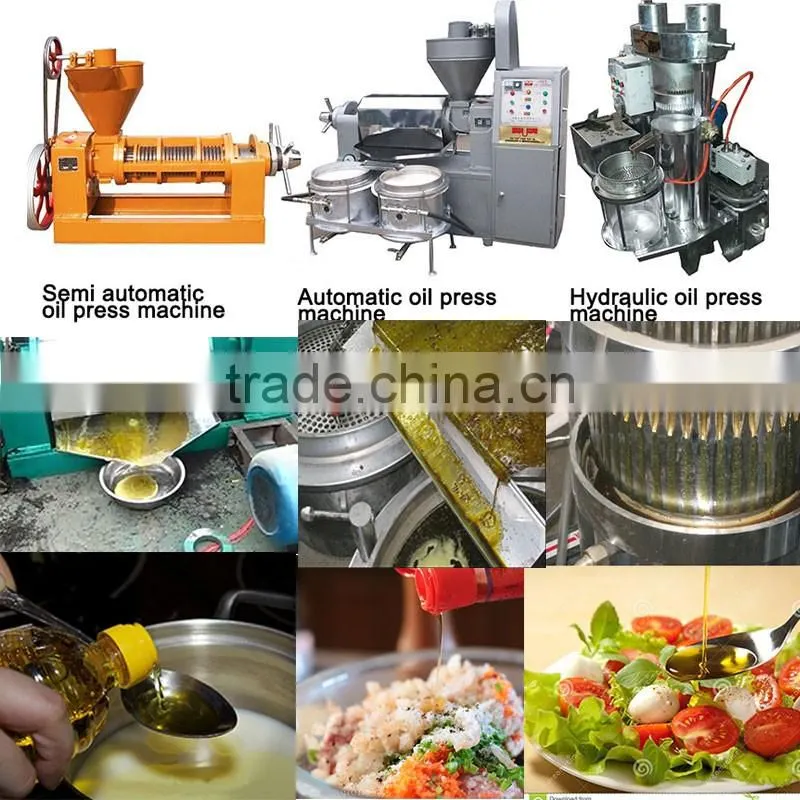 Screw press niger seed oil processing machinery with factory price