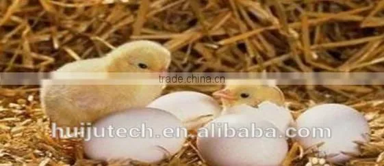 CE certificate high quality 24 chicken egg incubator used home HJ-M24