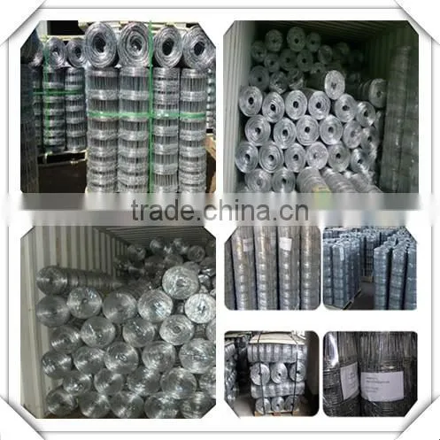 high zinc coated galvanized field fence for sale / galvanized sheep fence for sale