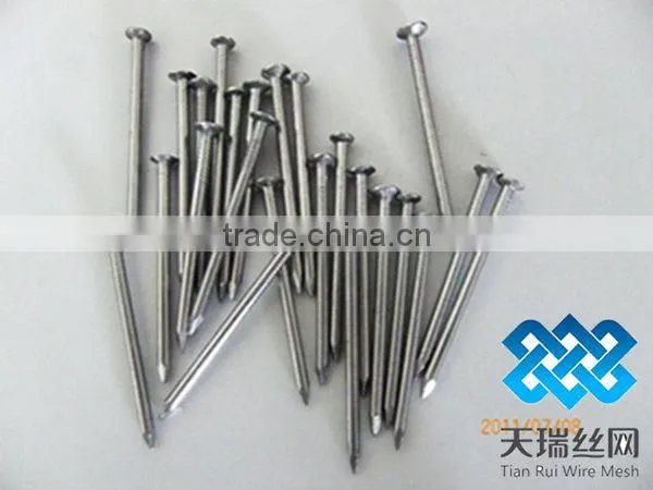 Galvanized iron nails (factory)