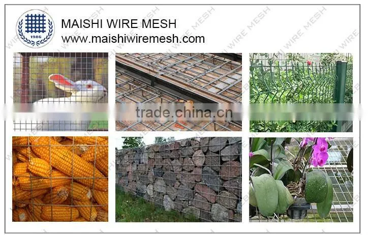 Stainless Steel Wire Mesh/304 Stainless Steel Wire Mesh/Stainless Steel Welded Wire Mesh Factory