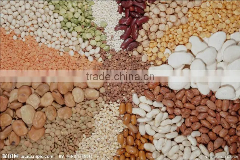 stainless steel electric grinding chilli powder processing machine