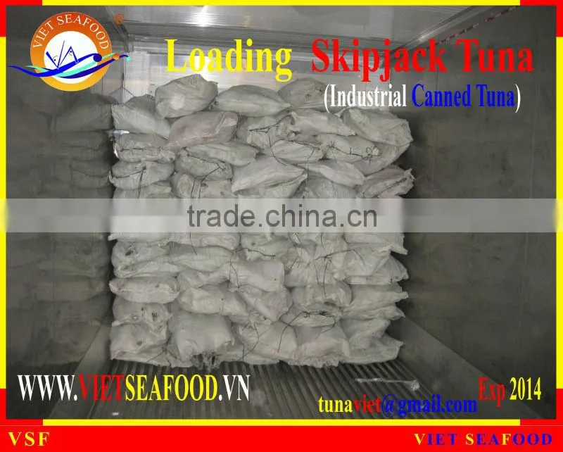 LOADING FROZEN SKIPJACK TUNA W/R
