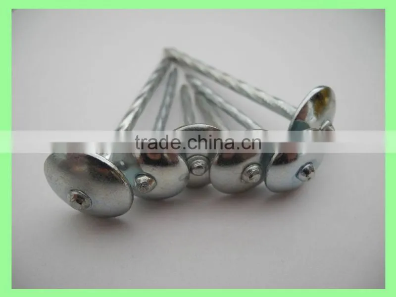 Kenya umbrella roofing nails