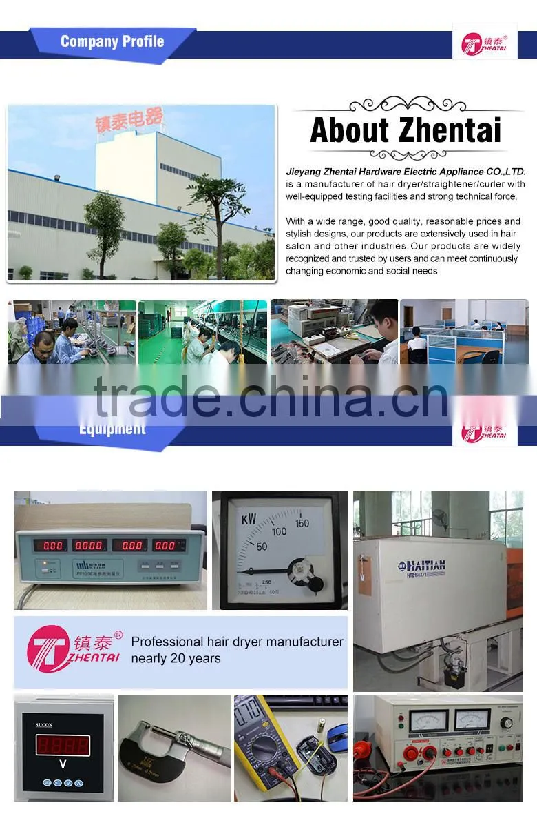 ZT-6608 Lint Remover Fabric Lint Remover Electric Lint Remover for Home