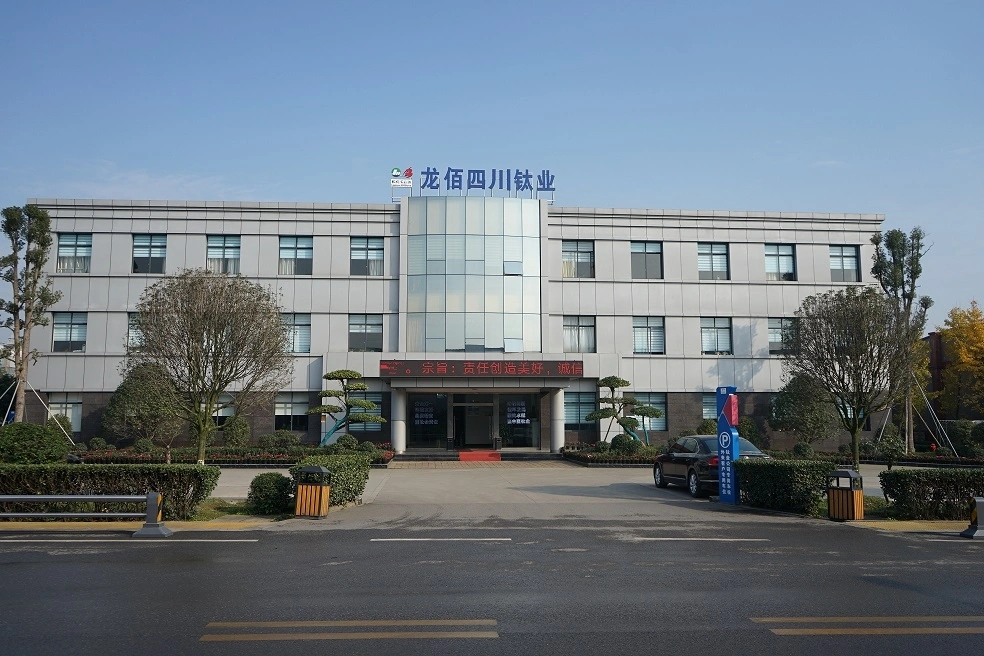 Sichuan Bailong Biotechnology Co., Ltd. company overview - view 1