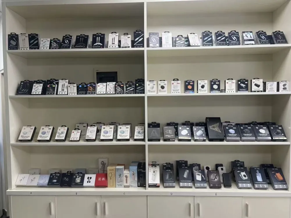 Where will the future of consumer electronics lie?