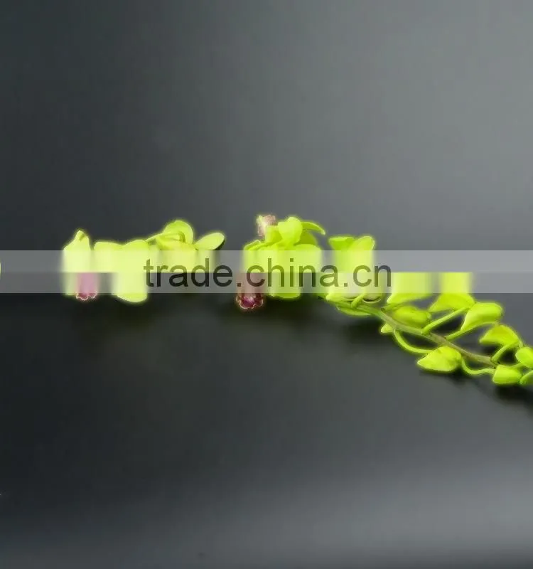 Super quality hot sale mini wholesale violet orchid cattleya