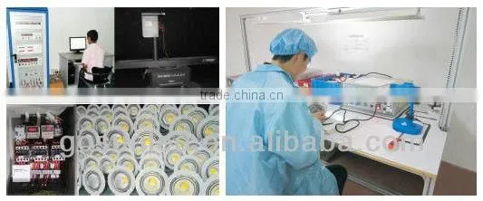 European style Dimmable 30W COB LED Tracklight