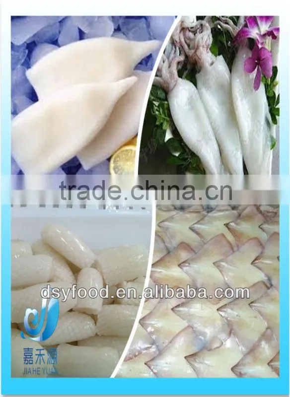frozen fresh-looking squid ring