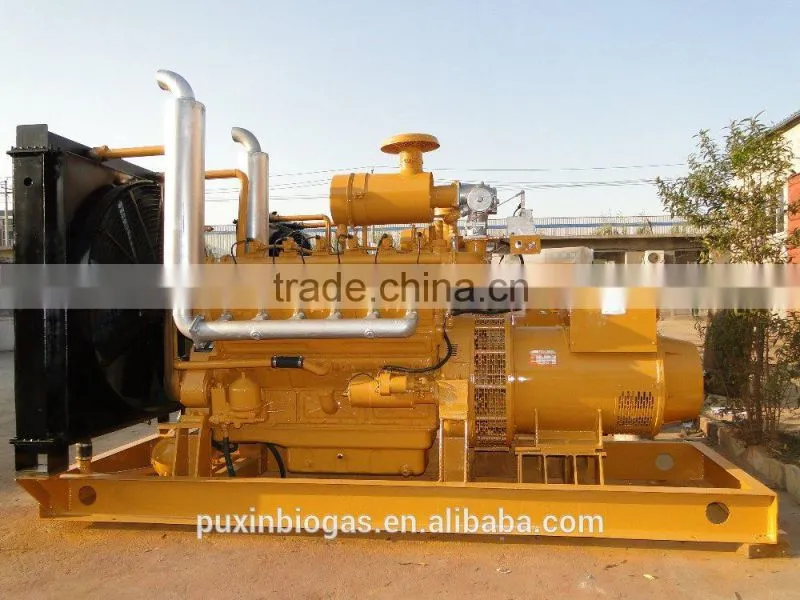 PUXIN biogas electricity plants with gas generator for food waste treatment