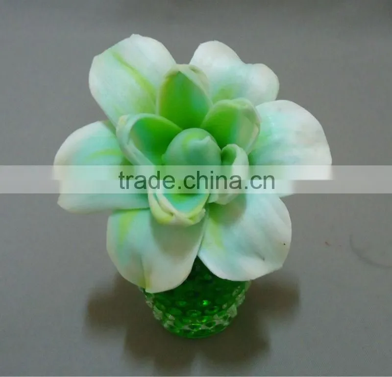 Sola flower diffuser