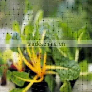 Anti-bird nets,Anti-bird netting