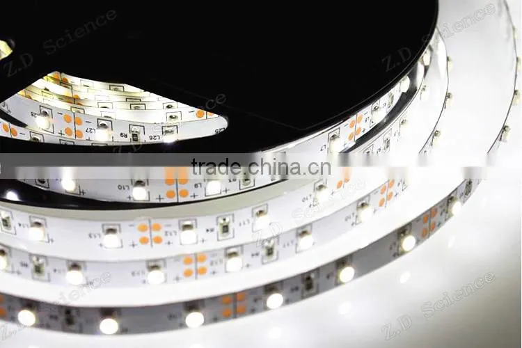 CE RoHS IP20 3528 60leds /m LED RGB Strip Light Indoor Use